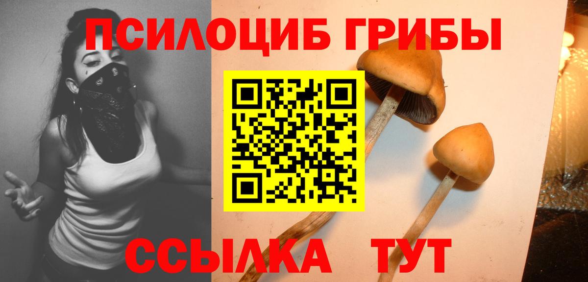Псилоцибиновые грибы MAGIC MUSHROOMS  Вход с VPN  Владикавказ 